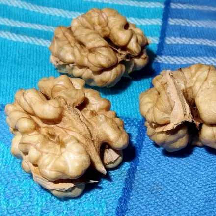 Walnüsse als Ganzes aus der Schale bekommen