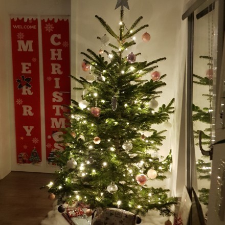 Weihnachtsbaum entsorgen ohne viel Dreck