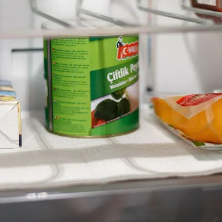 Kühlschrank schneller sauber mit ausgelegtem Küchenpapier