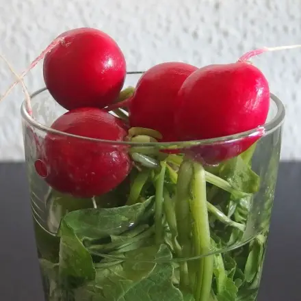 Radieschen richtig frischhalten