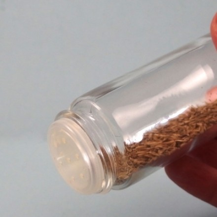Leere Salz- oder Pfefferstreuer zum Samen aussäen verwenden