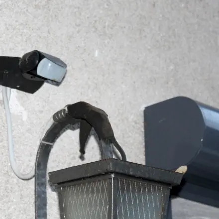 Bewegungsmelder gegen Tauben