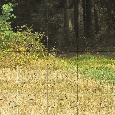 Kleister statt teurem Puzzlekleber