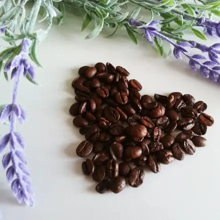 Kaffeelikör ganz einfach selbstgemacht