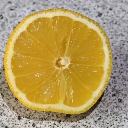 Erkältung ade! - Zitronensaft pur