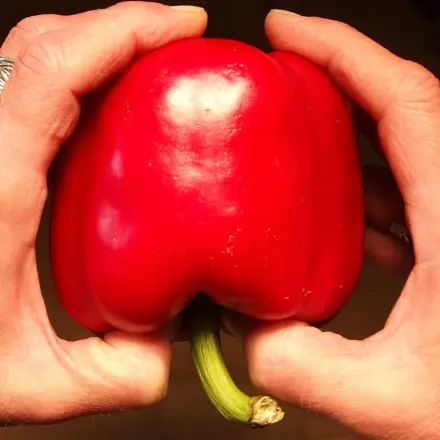 Paprikaschoten putzen