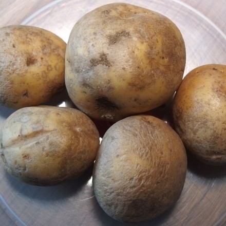 Fleckige Kartoffeln kochen