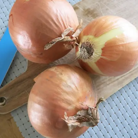 Zwiebeln - zum Weinen? Teil VIII