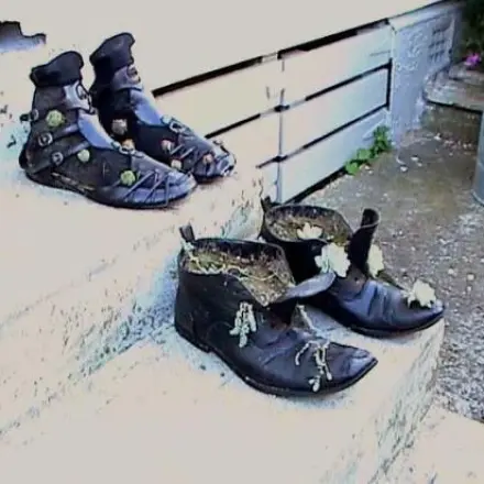 Alte Schuhe als Pflanzbehälter für Hauswurzen