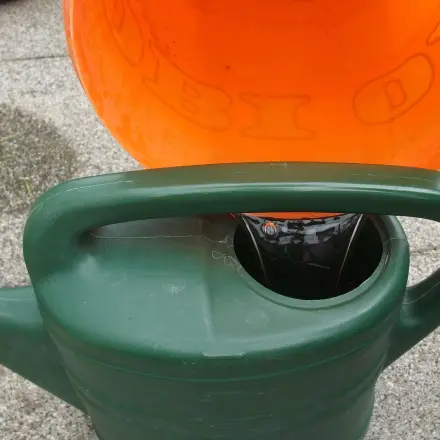 Regenwasser auffangen