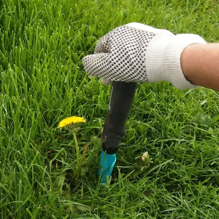 Handballen beim Garteln schonen