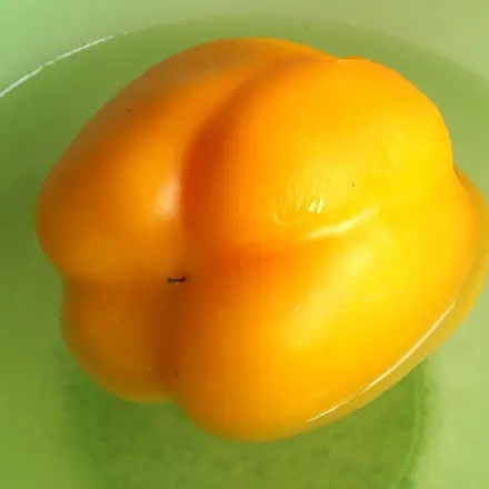 Paprikaschoten schälen - bei größeren Mengen ...