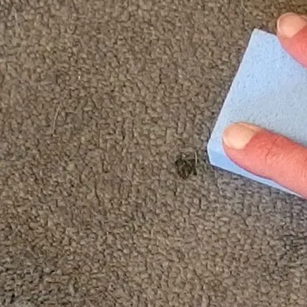 Zigaretten-Brandfleck mit Bimsstein unsichtbar machen