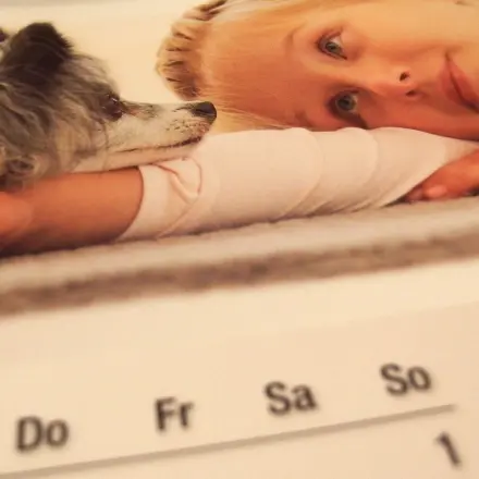 Wunderschöne Bildkalender aufheben: alle 7 Jahre sind sie gültig