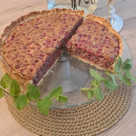 Johannisbeerkuchen (Träubleskuchen)