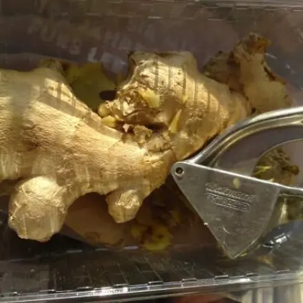 Ingwer-Eis: Vanille-Eis mit frischem Ingwer