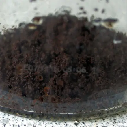Flaschen und Vasen mit Kaffeesatz reinigen