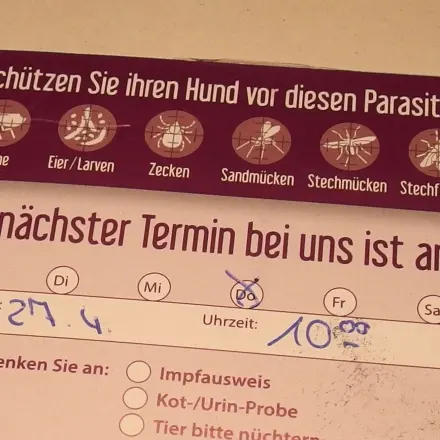 Termine im Kalender schieben
