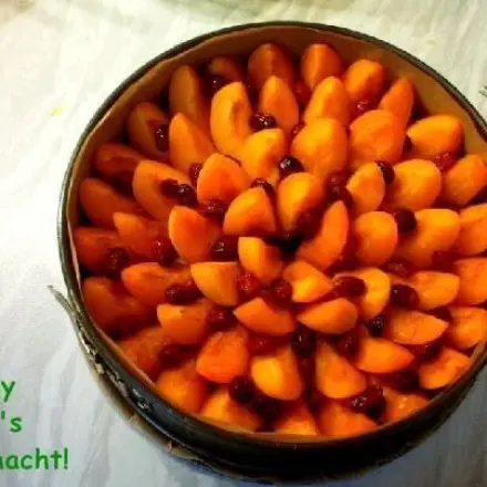 Aprikosenkuchen mit Cranberries & Marzipan-"Zwischendecke"