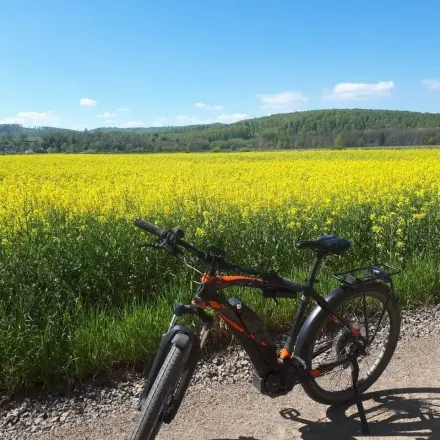 Stark verschmutztes Fahrrad "im Regen stehen lassen"