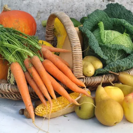 Karitative Einrichtungen unterstützen (mit Essen aus dem Garten)