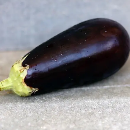 Aubergine nicht salzen
