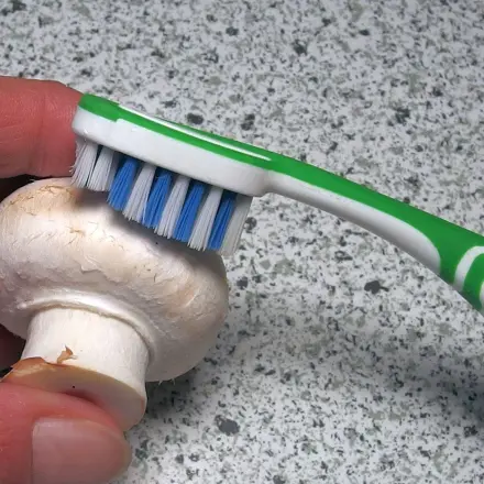 Zahnbürste schrubbt Gemüse