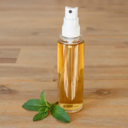 Körper und Geist erfrischen mit Minze