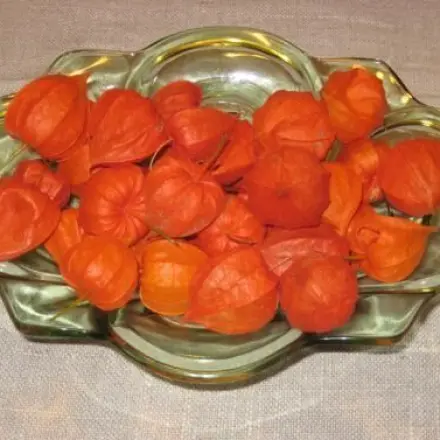 Schale voll Lampionblumen - schöne orangerote Tischdekoration