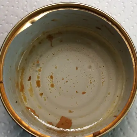 Bratfett umweltfreundlicher entsorgen - Fettreste sammeln