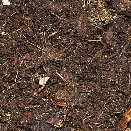 Komposterde nicht untergraben wegen der Nährstoffe