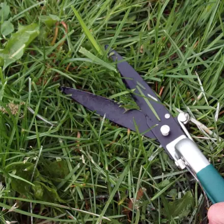 Gartenarbeit durch Vorlesen kurzweiliger machen