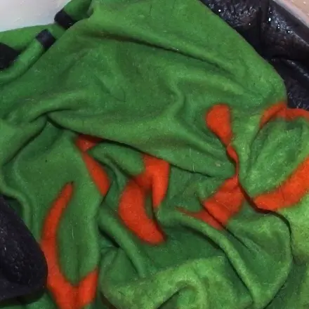 Neue Wäsche ohne Färben waschen