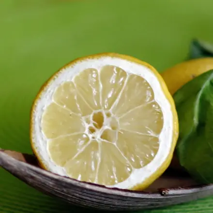 Zitronenwasser gegen Silberfischchen