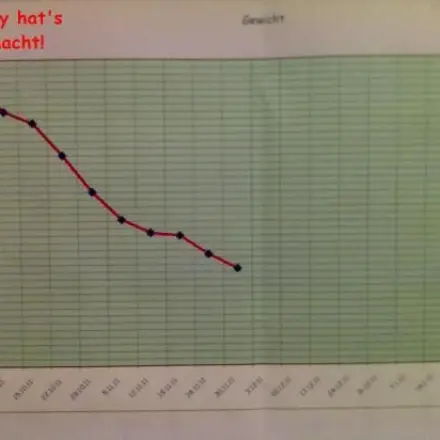 Mega-Motivator: Schrittzähler