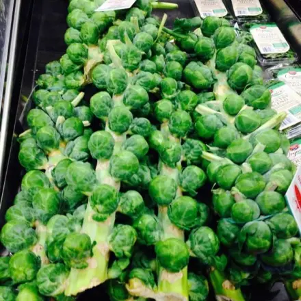 Milder Rosenkohl: in Zuckerwasser kochen
