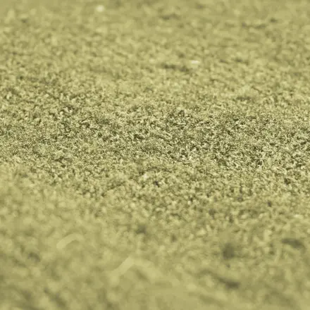 Oxi-Power: Flecken auf dem Teppich