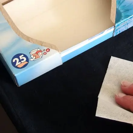 Katzenhaare schnell entfernen: mit Trocknertüchern