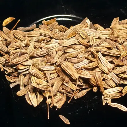 Fenchelsamen gegen Völlegefühl und Mundgeruch