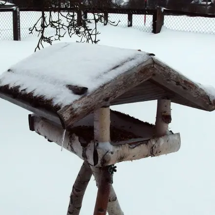 Alten Menschen eine Freude machen