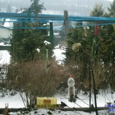 Vogelfuttersilo für Ungeduldige: aus einer Wasserflasche