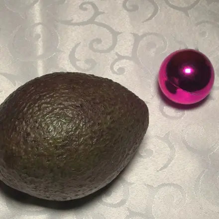 Avocados zu Weihnachten: rechtzeitig/jetzt kaufen