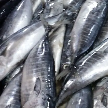 Fischgeruch beim Braten von Fisch verhindern