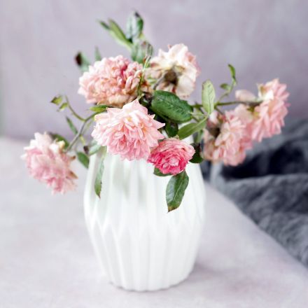 Vase schnell und einfach reinigen: mit Sand