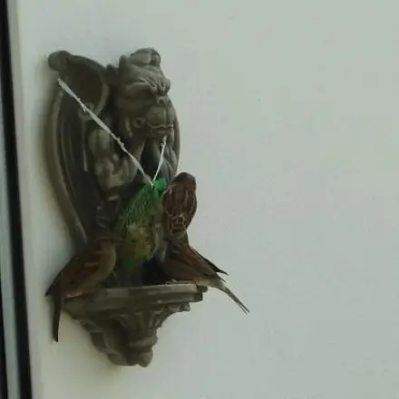 Plastikbeutelverschlüsse für Meisenknödel / Vogelfutter verwenden