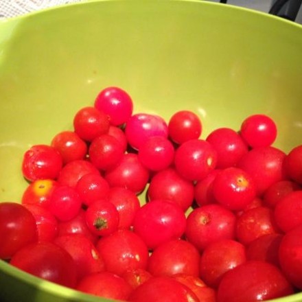 Tomaten-Fondue