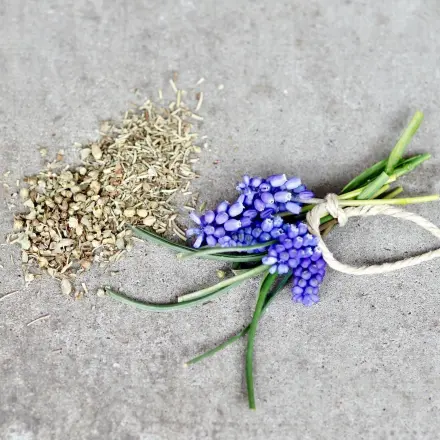 Provenzalische Kräutermischung selbst zusammengestellt