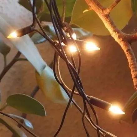 Lichterkette vergessen mit den Weihnachtssachen zu verstauen?