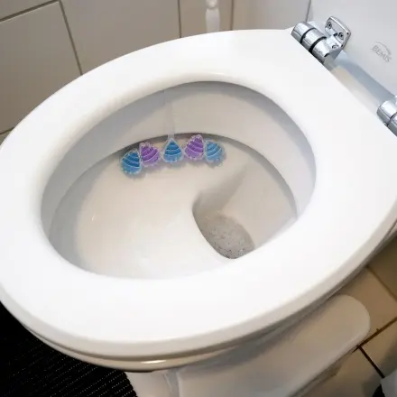 WC-Reinigung "Extrem"