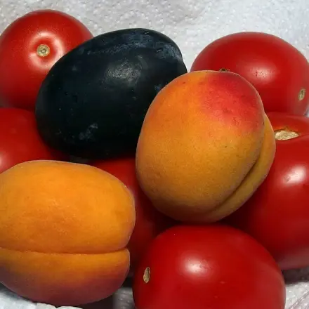 Frisches Gemüse und Obst billig einkaufen